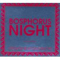 Bosphorus Night by Suat Atesdagli
