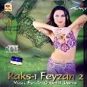 Raks-i Feyzan-2 Music For An Oriental Dance