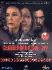 Cemberimde Gul Oya / Серии 1-40 (DVD)
